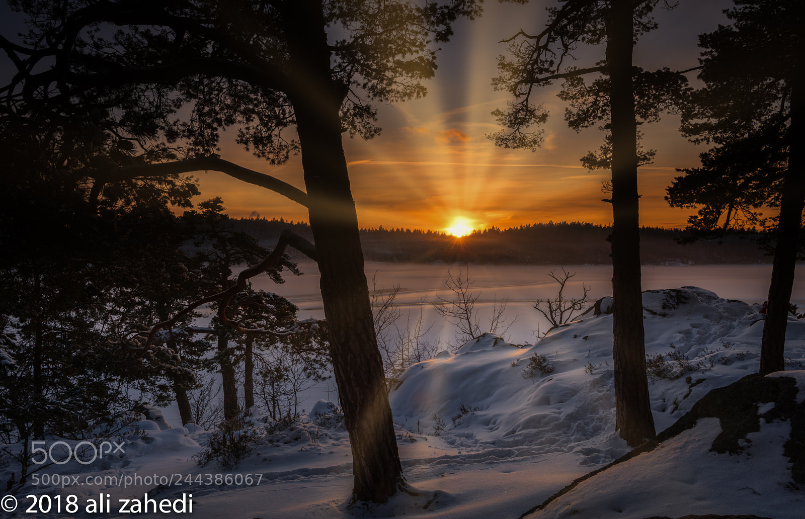 Nikon D810 sample photo. Sun photography