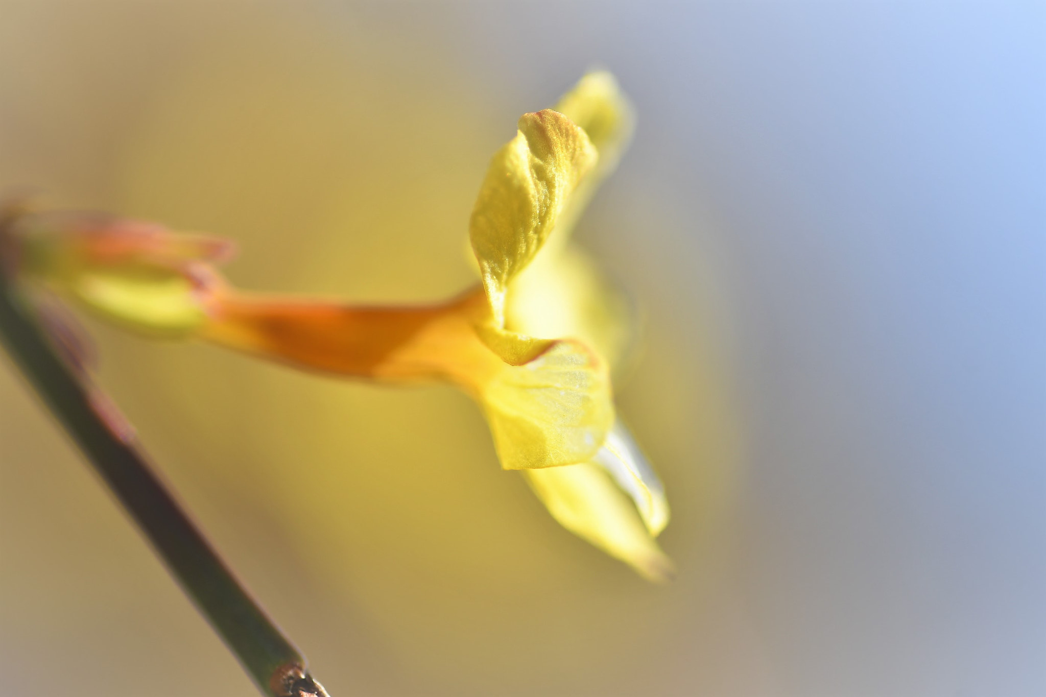 Nikon D500 sample photo