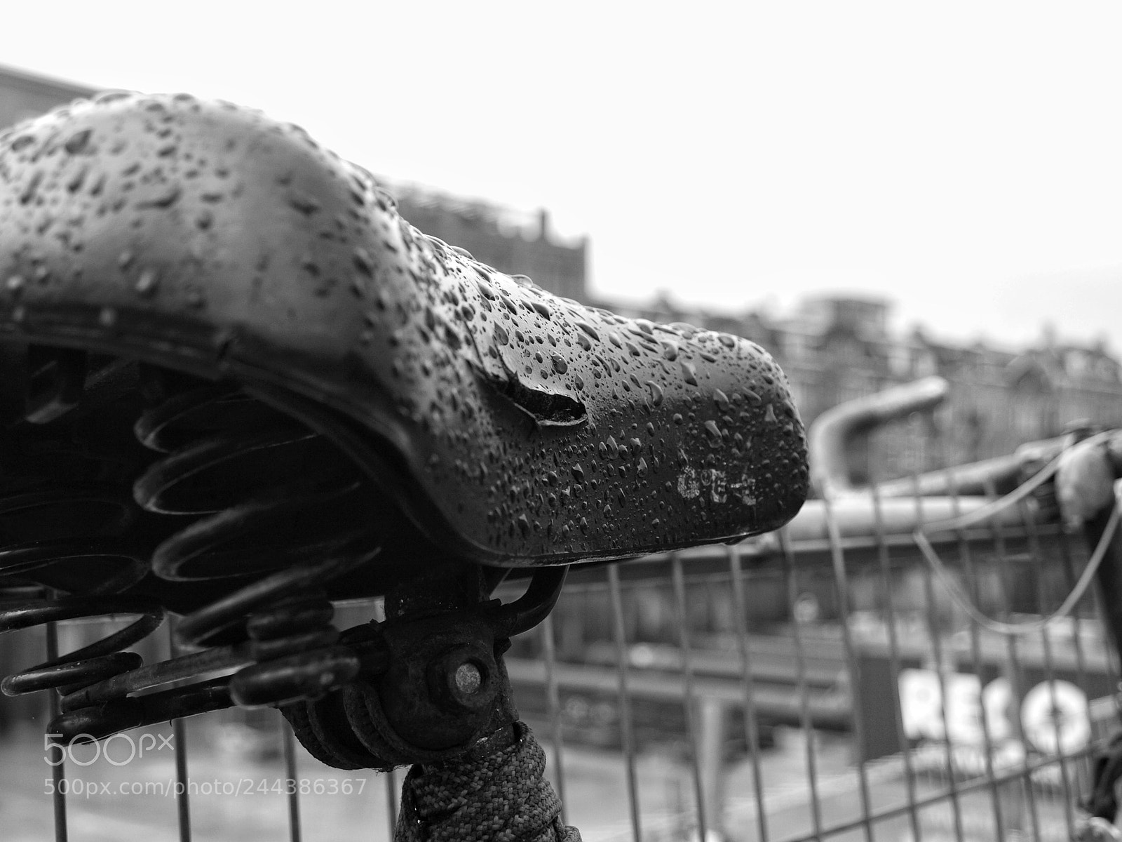Olympus E-510 (EVOLT E-510) sample photo. A wet saddle in photography