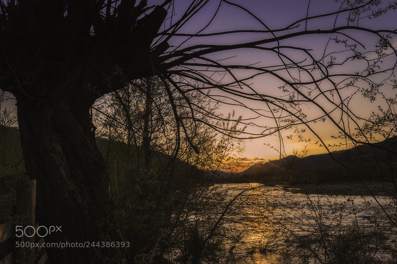 Nikon D3100 sample photo. Sunset on the river photography