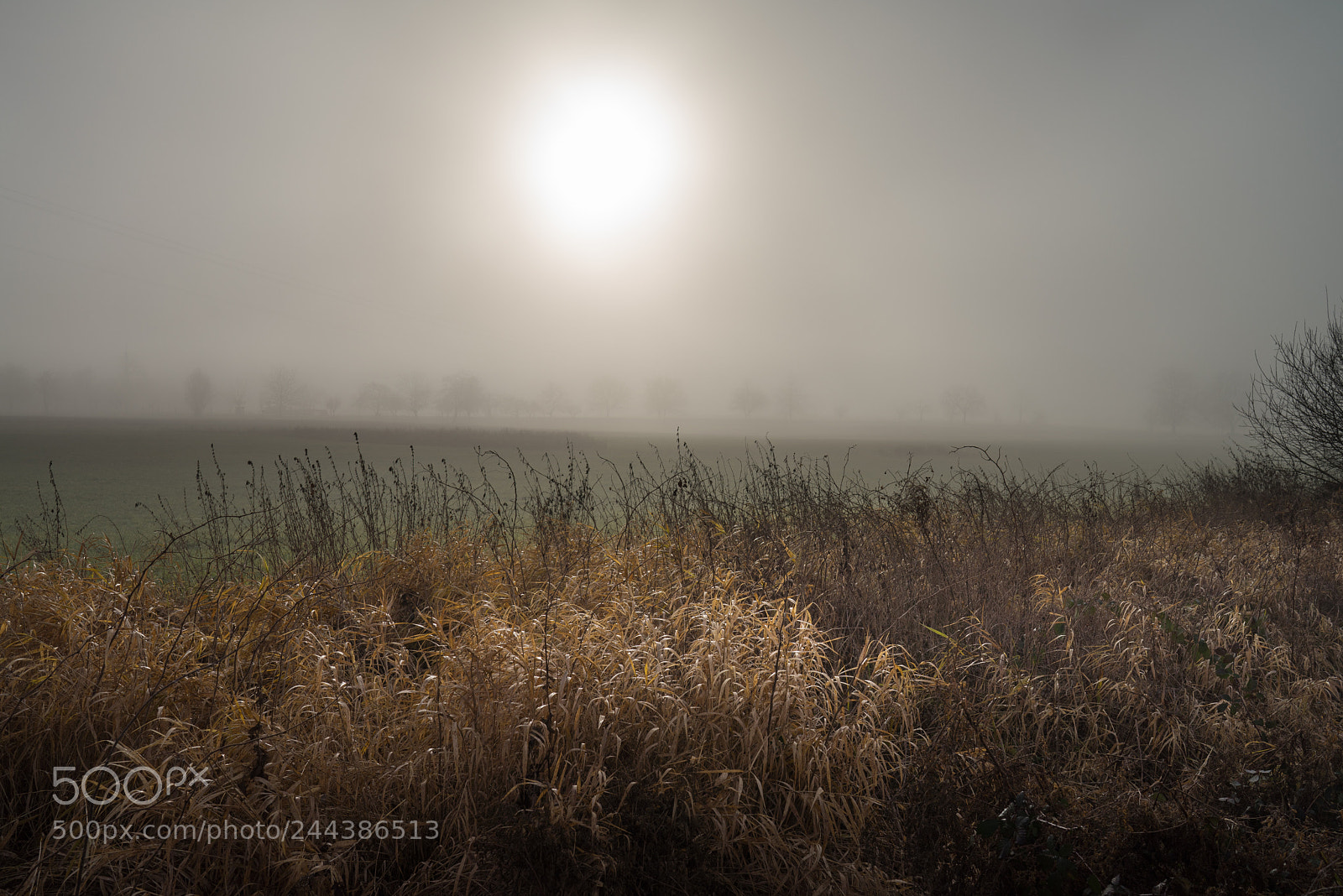 Sony a7R sample photo. . photography
