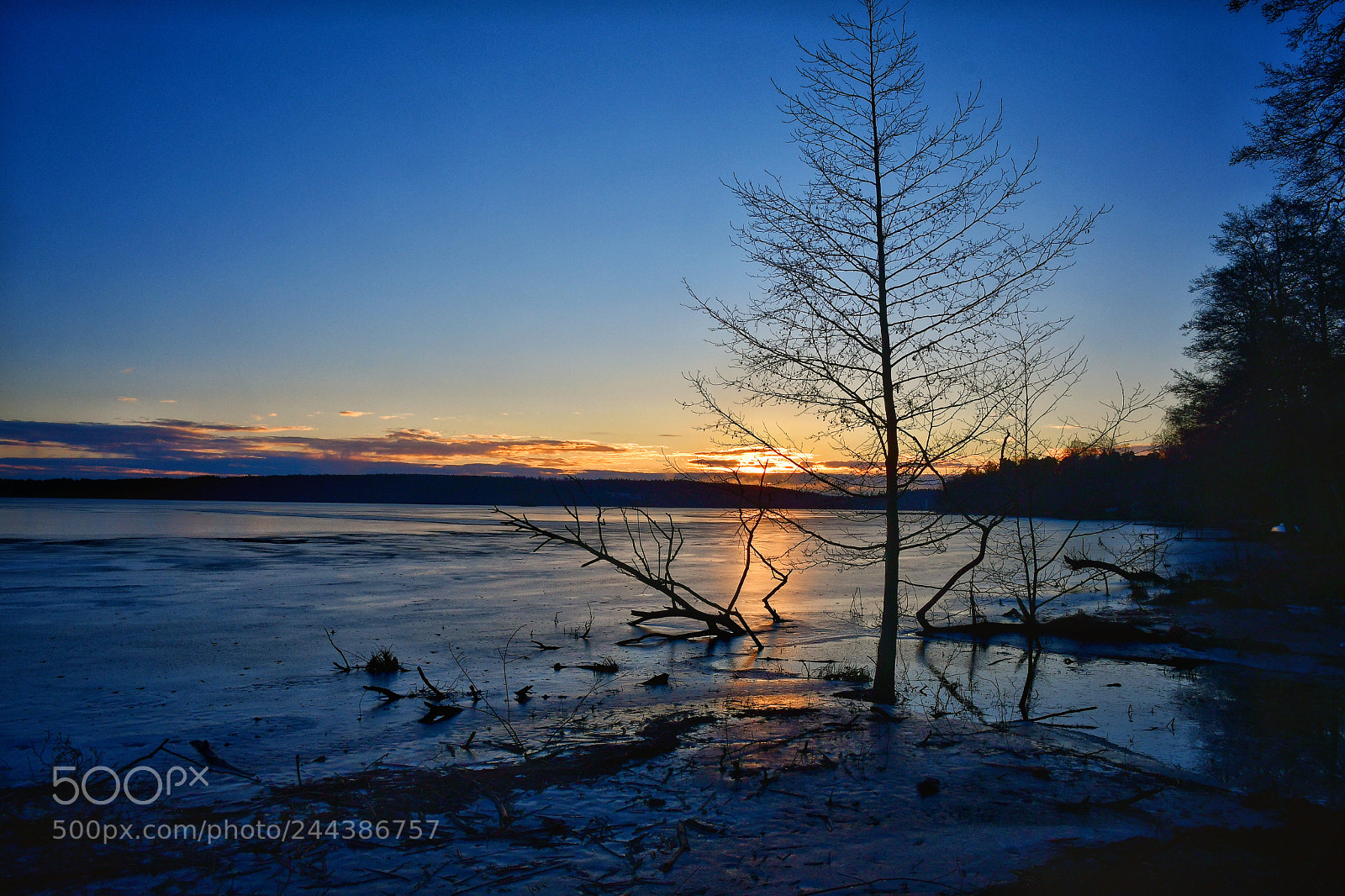 Nikon D500 sample photo. Sunrise photography