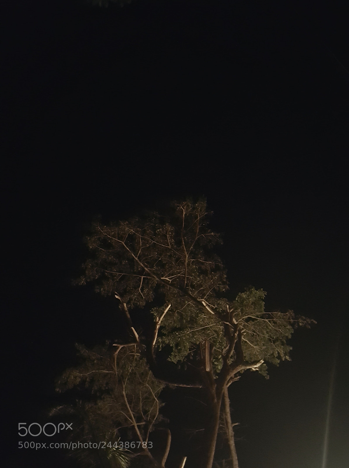 Samsung Galaxy Note5 sample photo. Dream & darkness photography