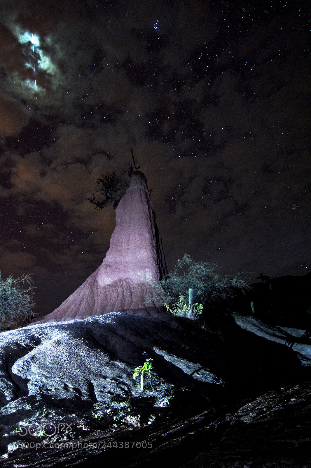 Nikon D7100 sample photo. Geminidas photography