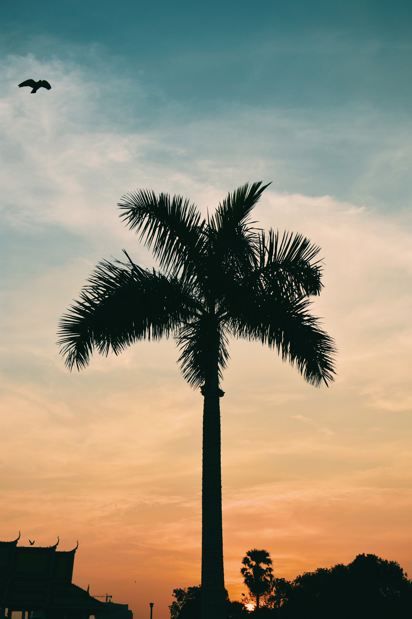 Nikon D3400 + Nikon AF-S DX Nikkor 35mm F1.8G sample photo. Sunset at royal palace photography
