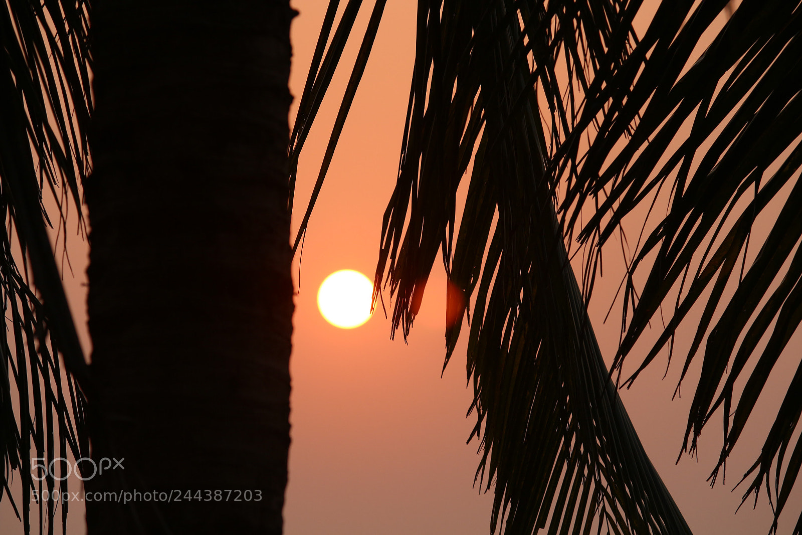 Canon EF-S 55-250mm F4-5.6 IS II sample photo. Untitled photography