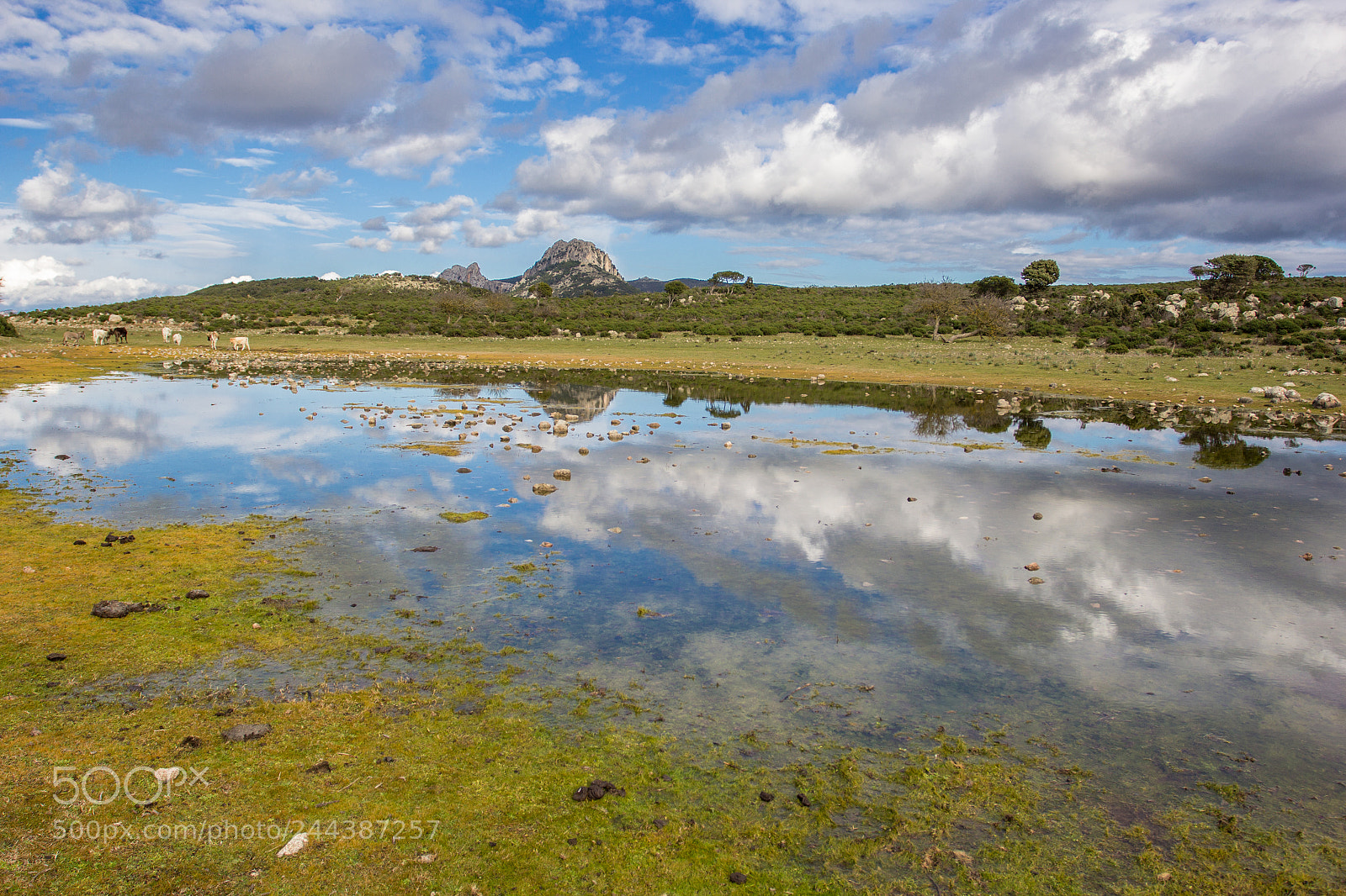 Canon EOS 60D sample photo. Beyond the mountains photography