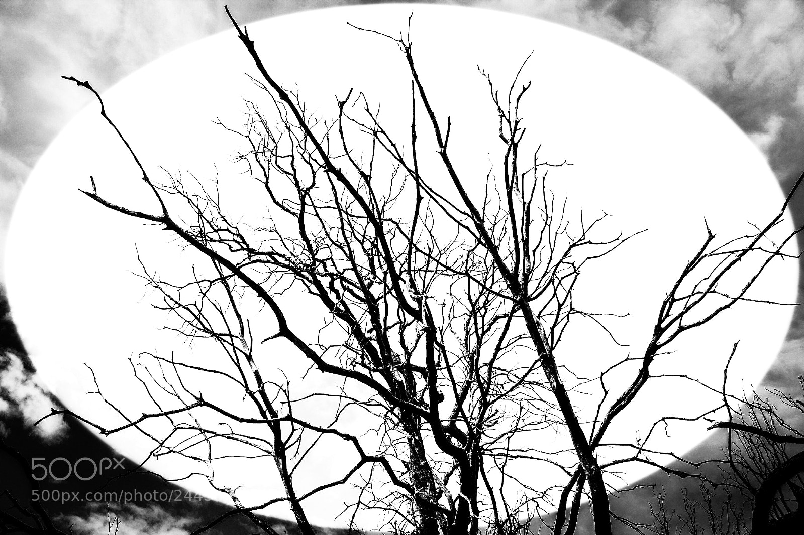 Canon EOS 650D (EOS Rebel T4i / EOS Kiss X6i) sample photo. A portal in topanga photography