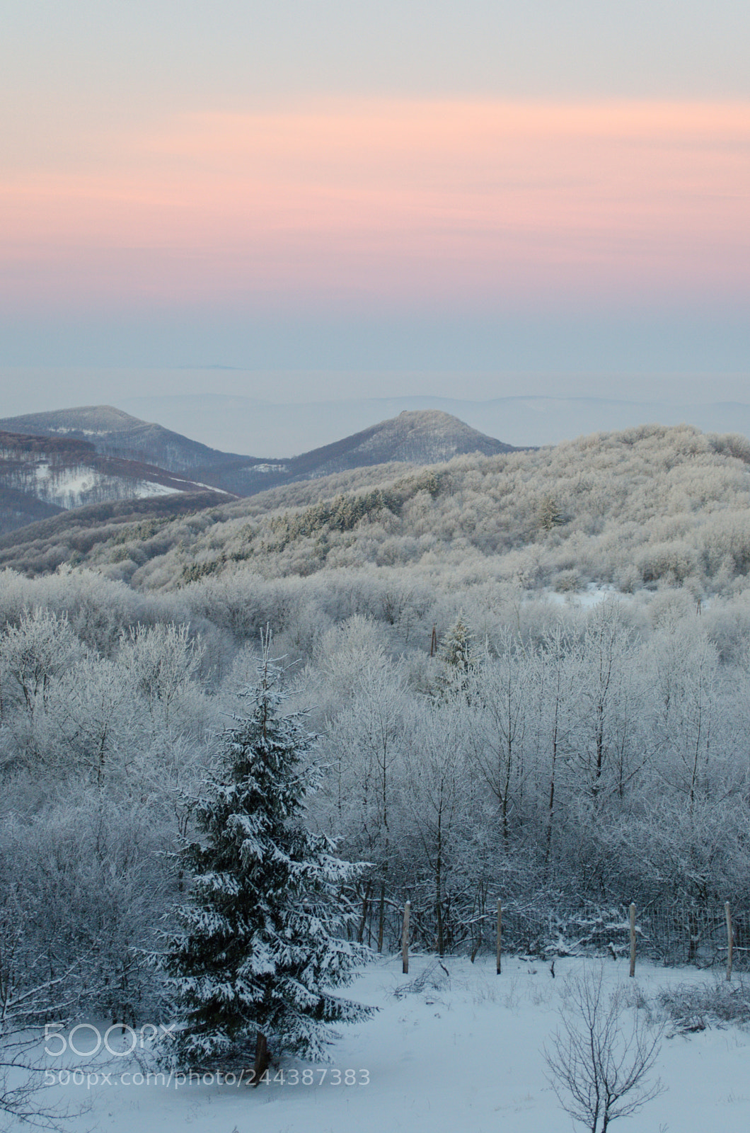 Nikon D5100 sample photo. Dawn photography