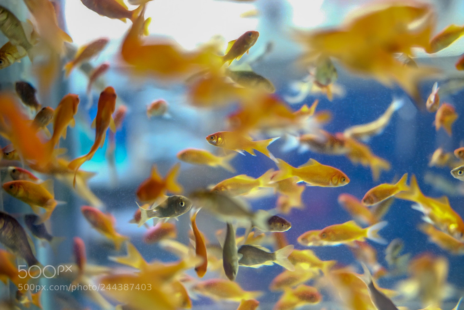 Fujifilm X-T10 sample photo. Untitled photography