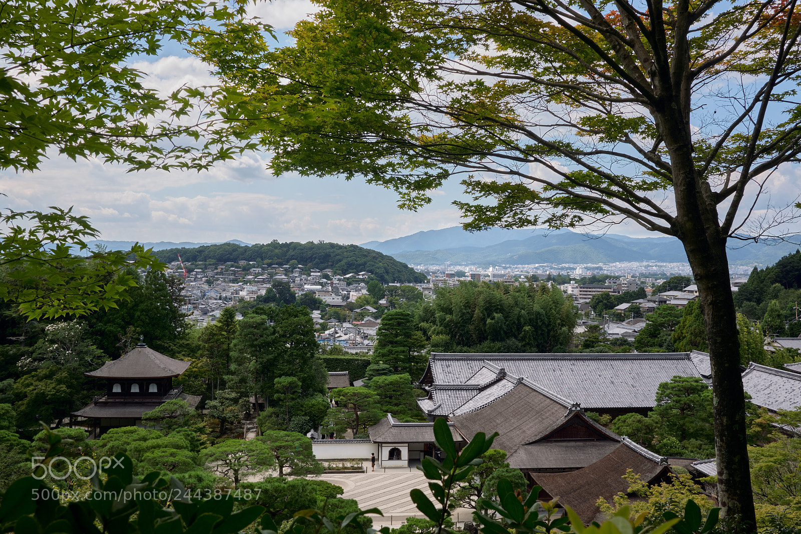 Fujifilm X-T20 sample photo. Prueba photography
