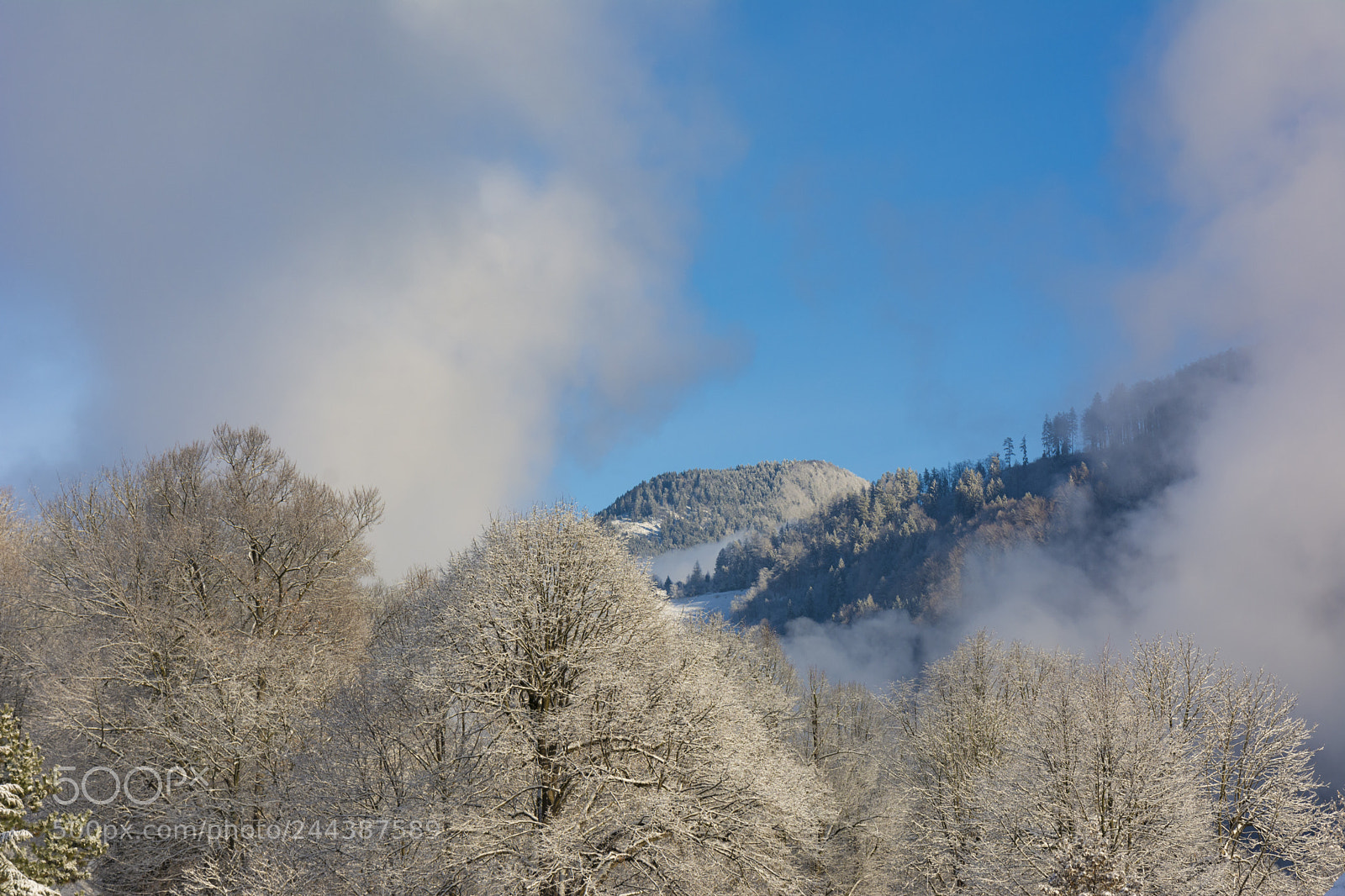 Nikon D7100 sample photo. Winterscene photography