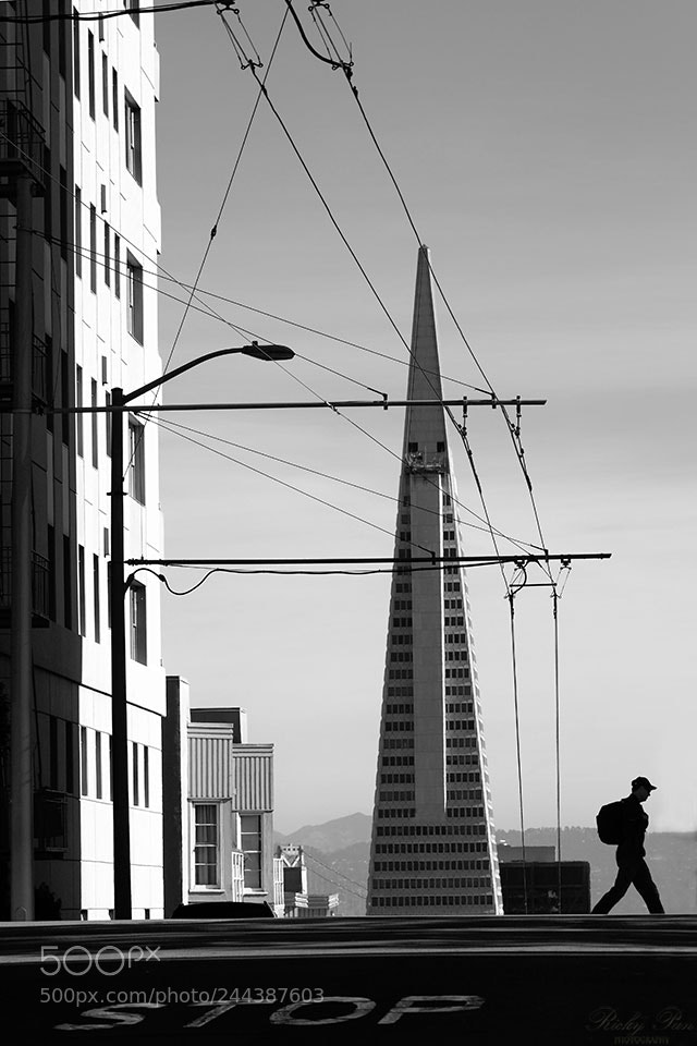 Olympus OM-D E-M1 Mark II sample photo. The city photography