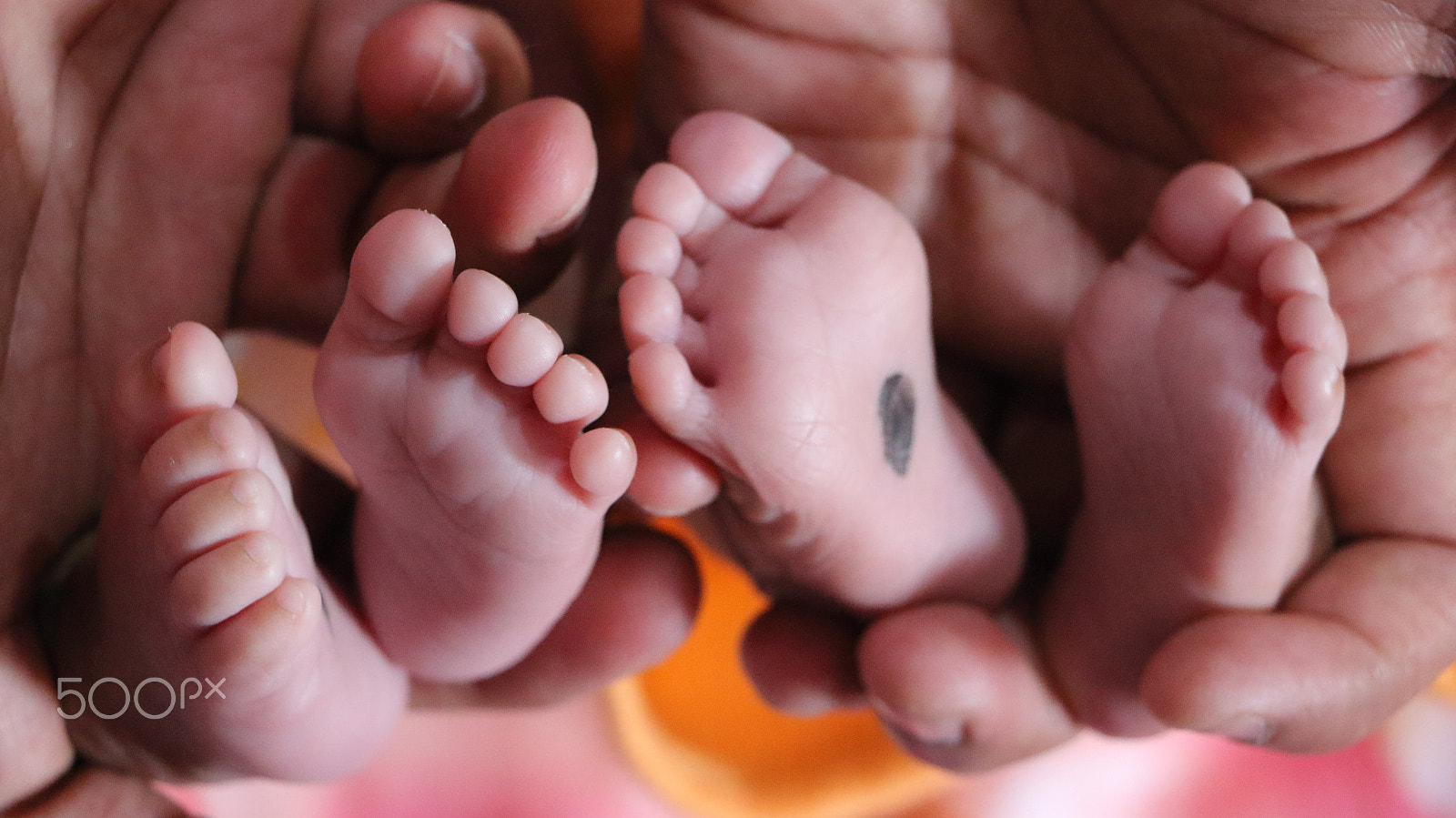 Canon EOS 700D (EOS Rebel T5i / EOS Kiss X7i) sample photo. Twins touch & feelings photography