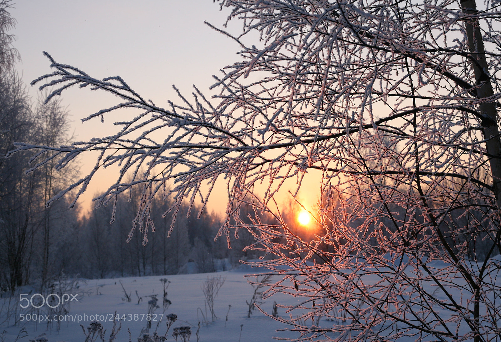 Canon EOS 5D sample photo. Winter photography