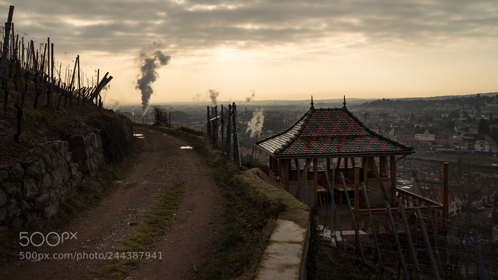 Sony a7R sample photo. . photography