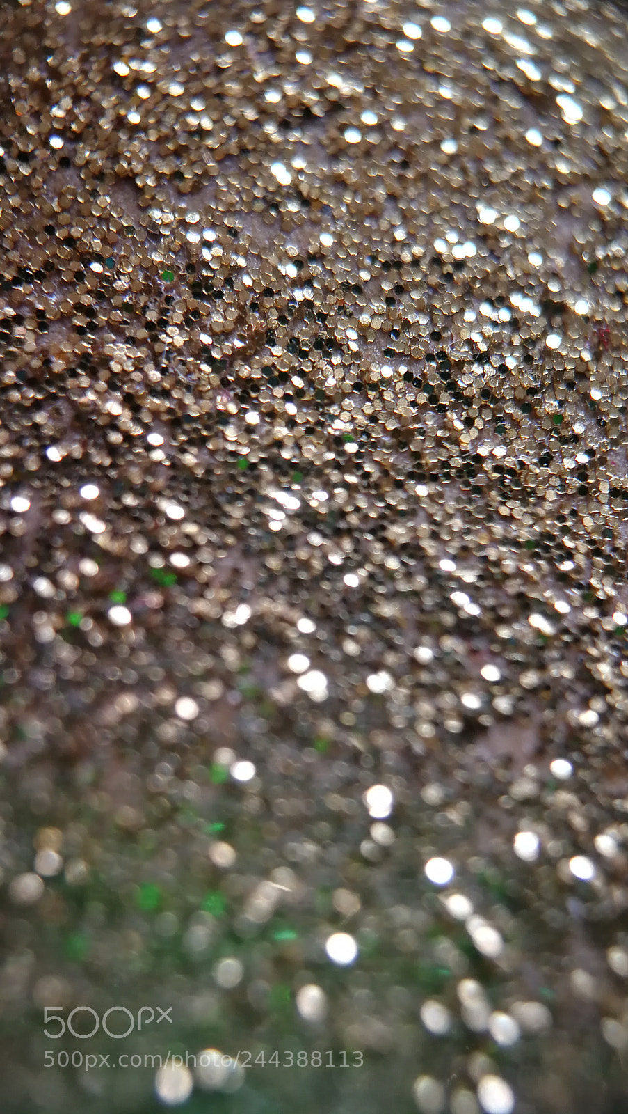 HUAWEI P10 sample photo. Ants army the gligter photography