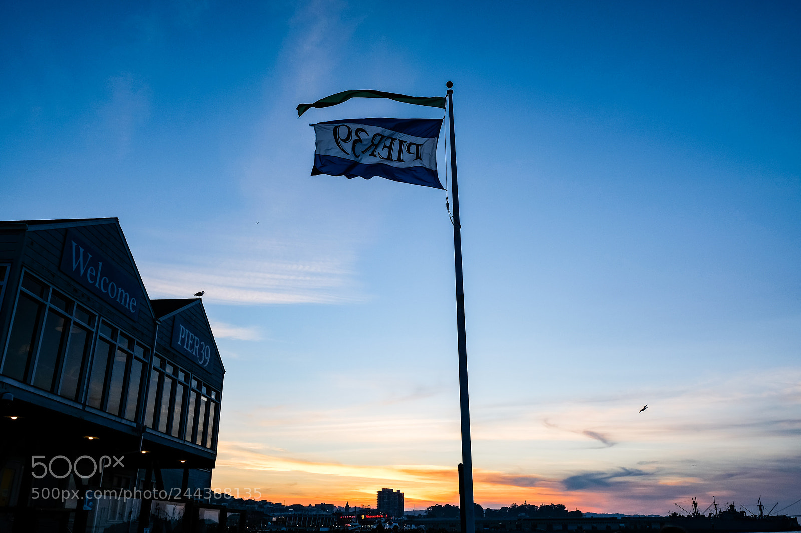 Fujifilm X-T20 sample photo. Dscf8957-2.jpg photography