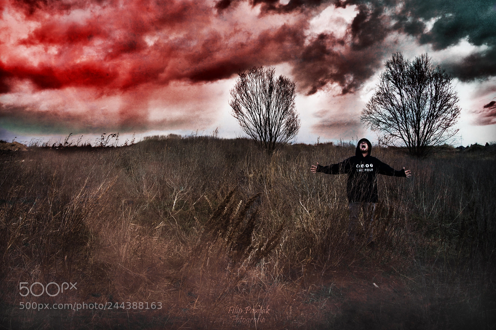 Nikon D7100 sample photo. Koniec photography