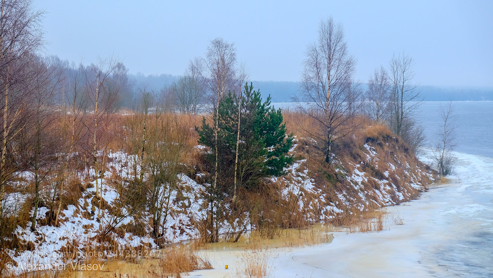Fujifilm X-T10 sample photo. Winter green photography