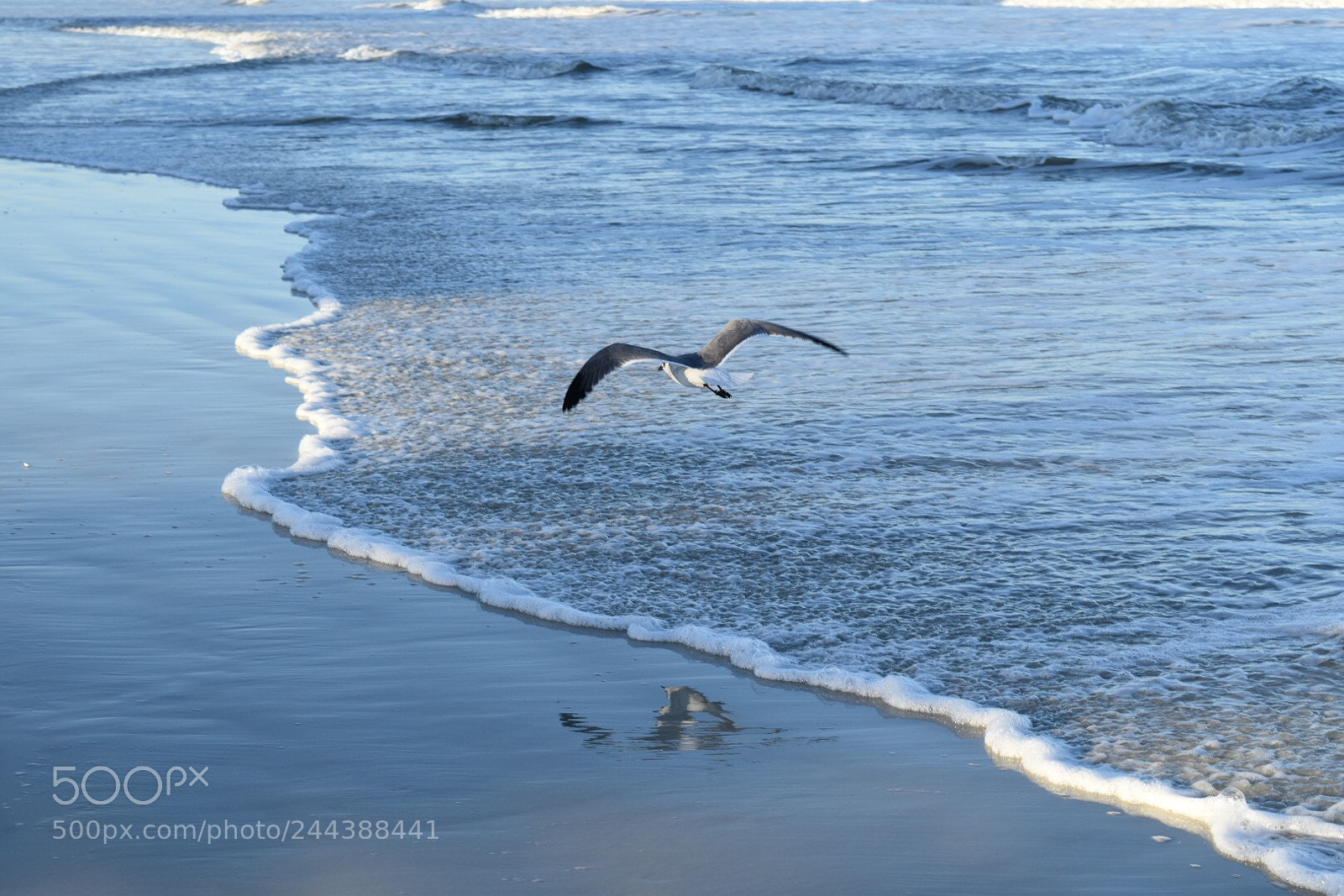 Nikon D5500 sample photo. Untitled photography