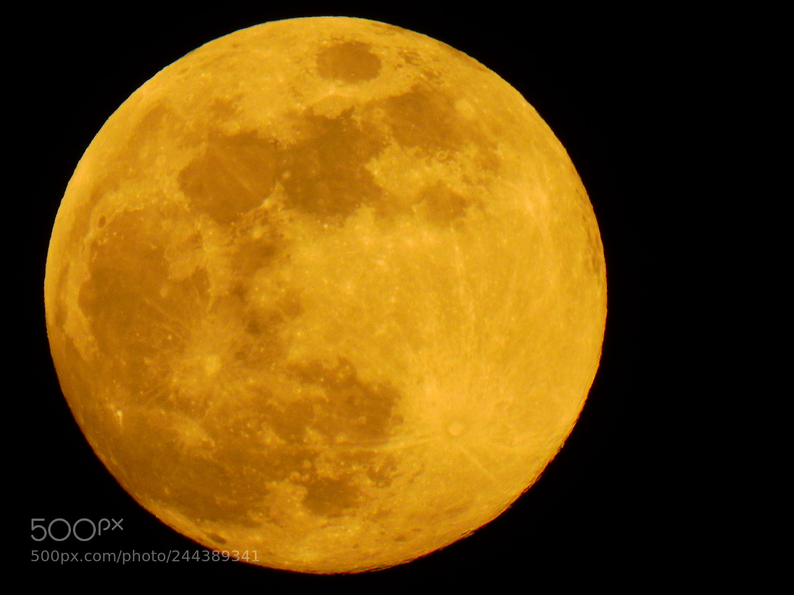 Nikon Coolpix P900 sample photo. The full moon is photography