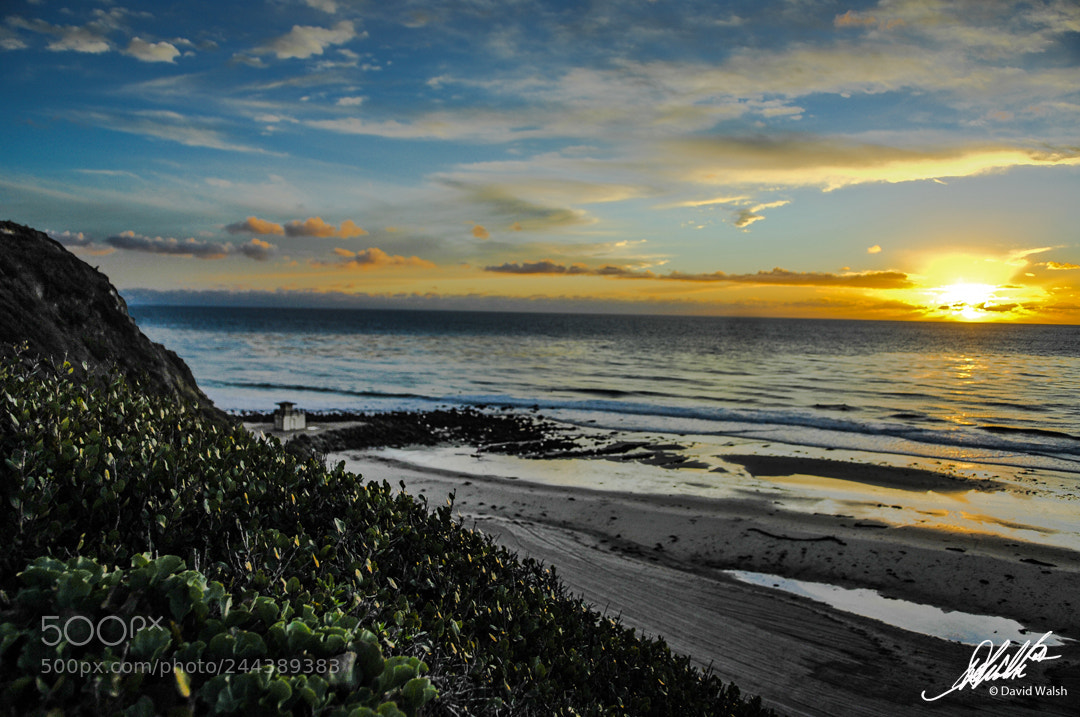 Nikon D2X sample photo. Dana point, california photography