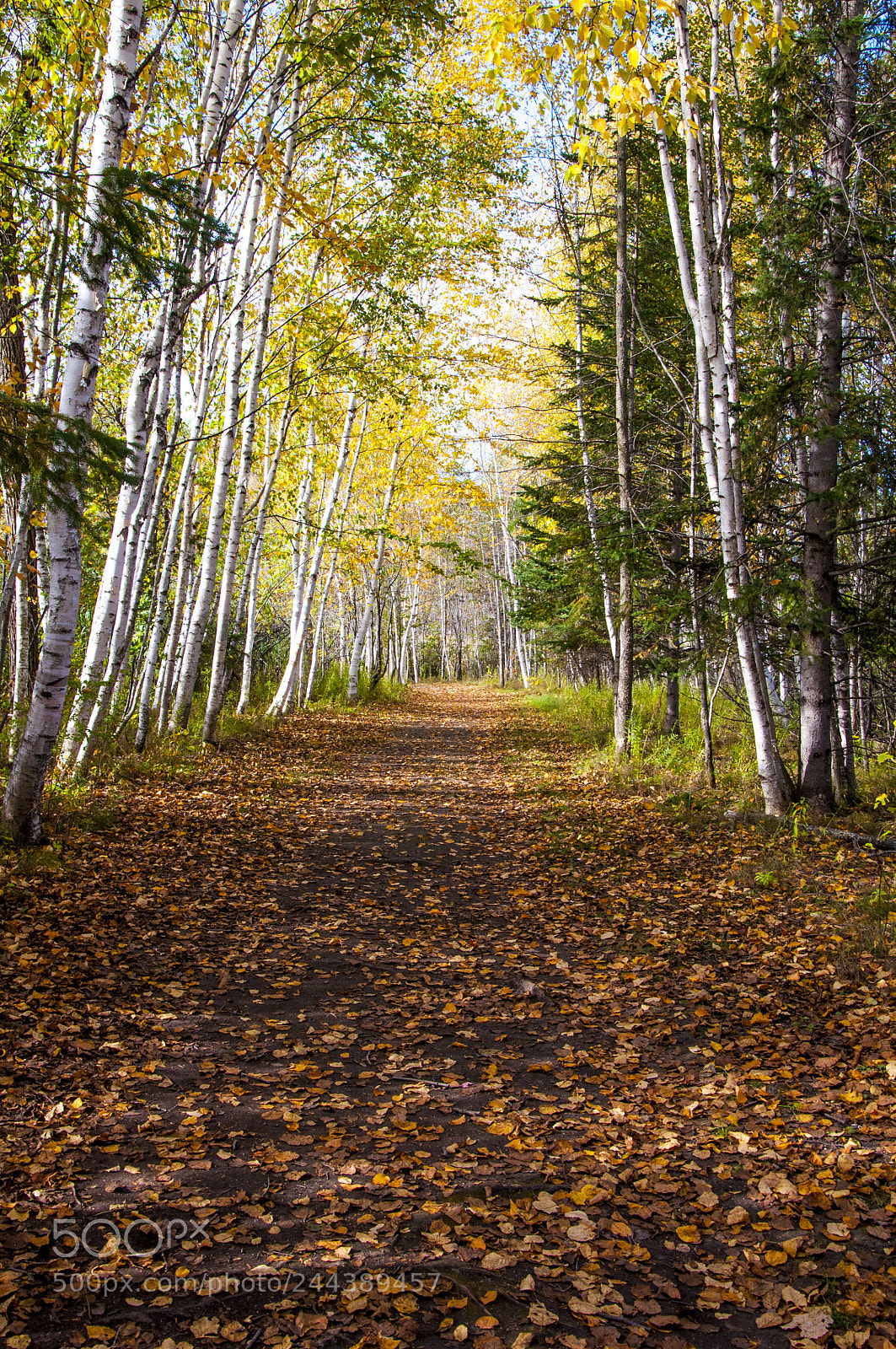 Nikon D90 sample photo. Warm fall day photography