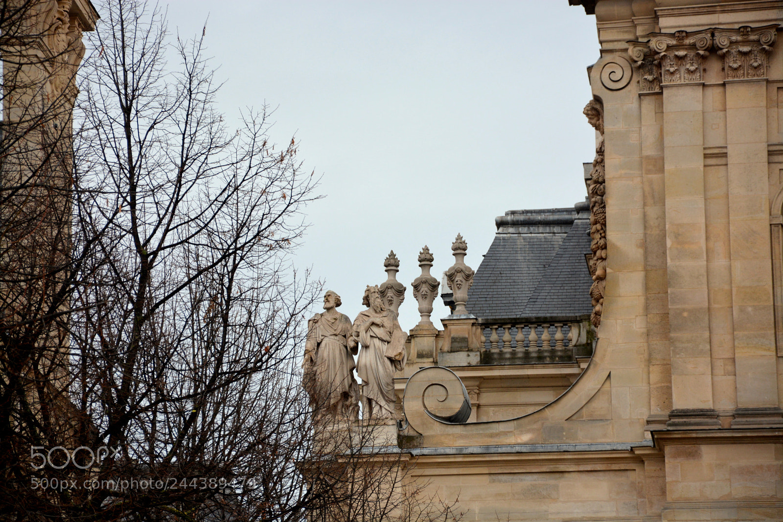 Nikon D7100 sample photo. Details photography