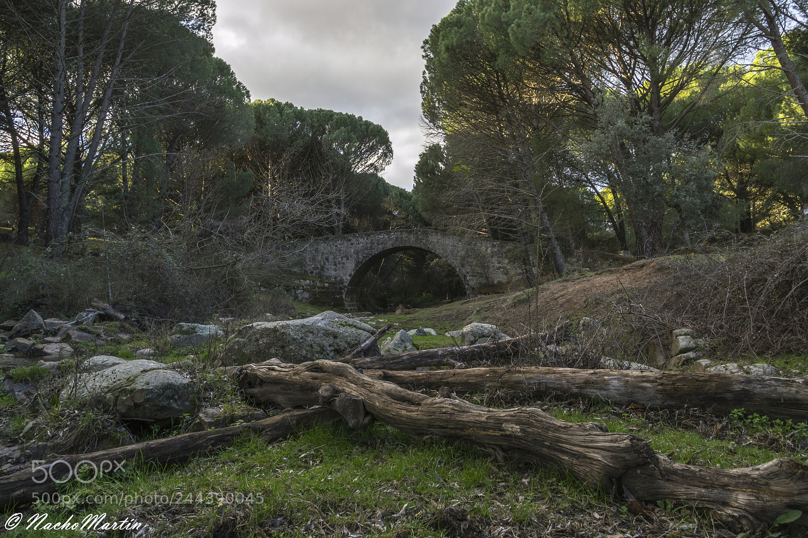 Nikon D3100 sample photo. Puente mosquea photography