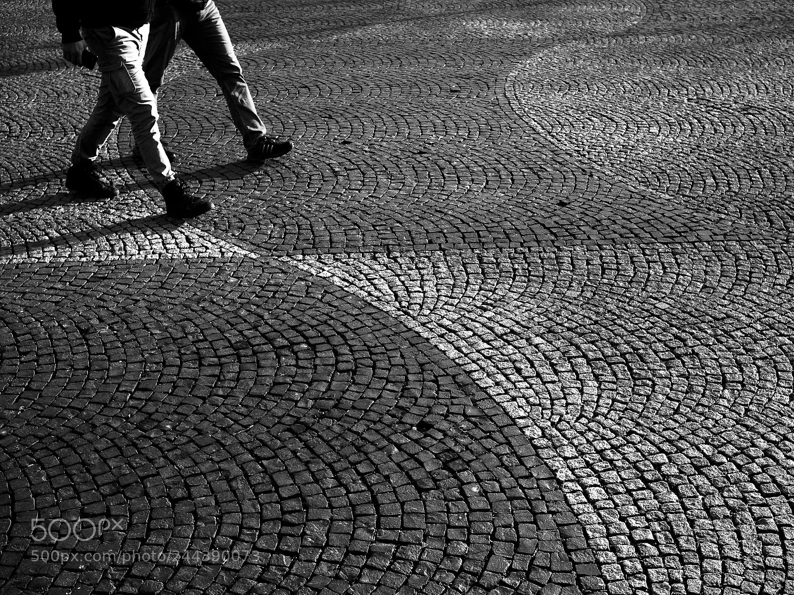 Olympus PEN E-PL7 sample photo. Untitled photography