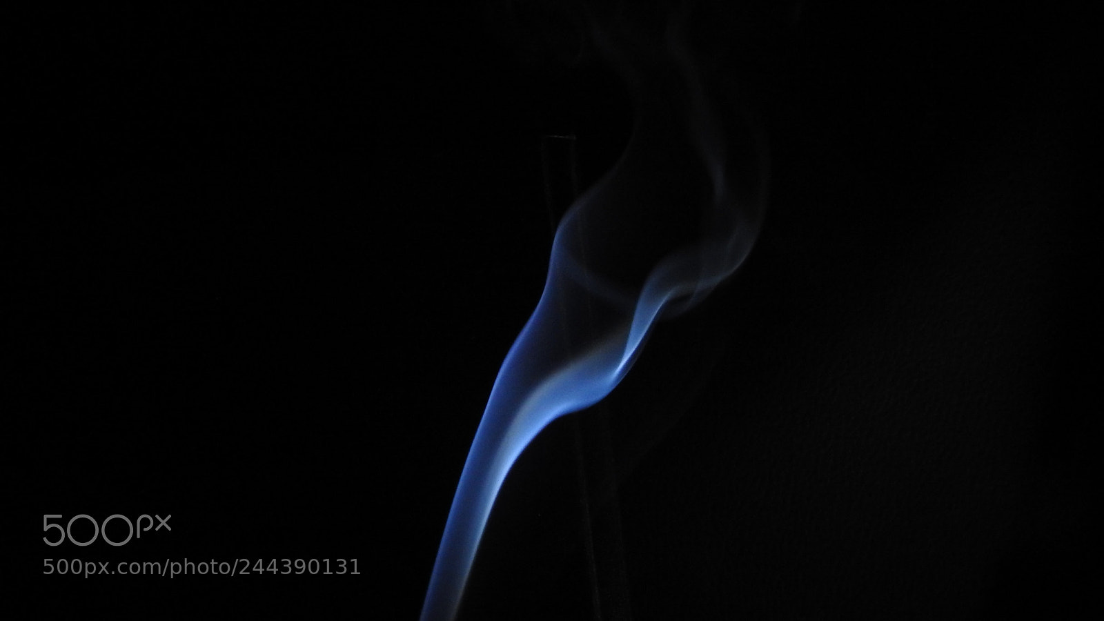 Nikon Coolpix P900 sample photo. Humo 4 photography
