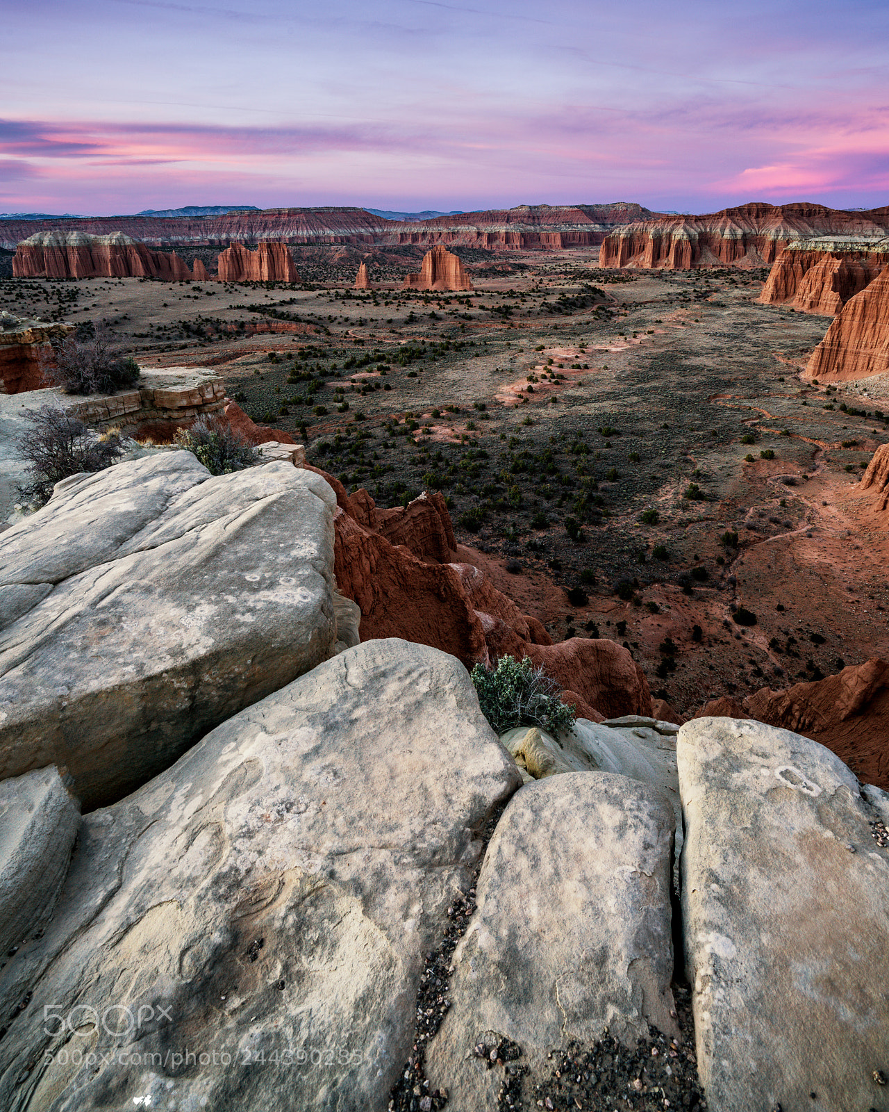 Sony a7R II sample photo. Overlook photography