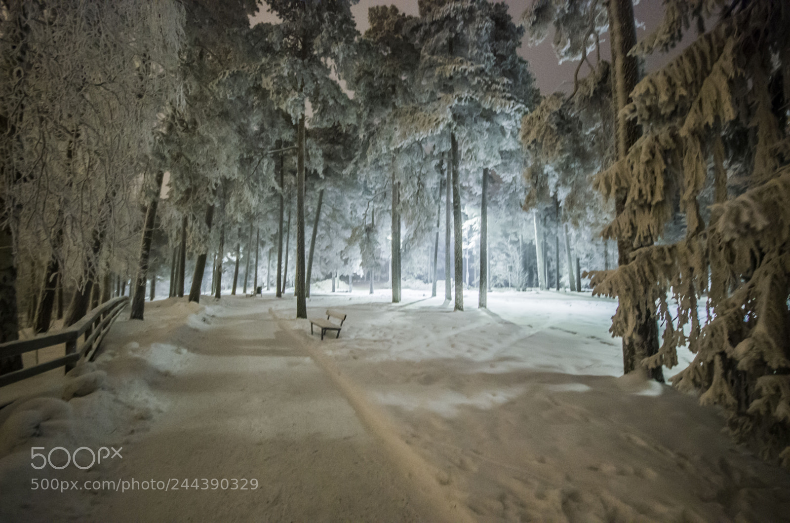 Pentax K-5 sample photo. Winter fairytale photography