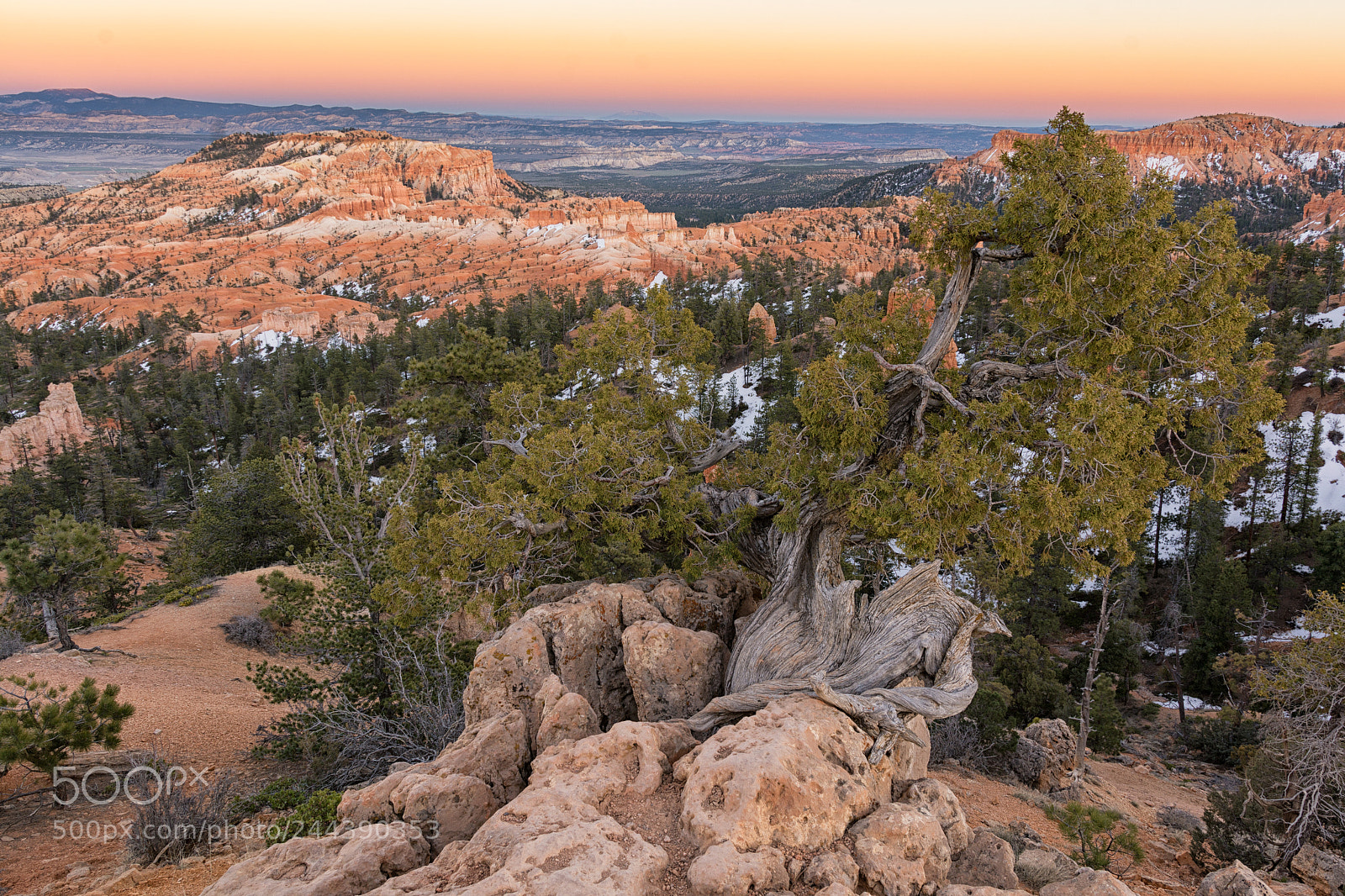 Nikon D7100 sample photo. Bryce canyon sunrise photography