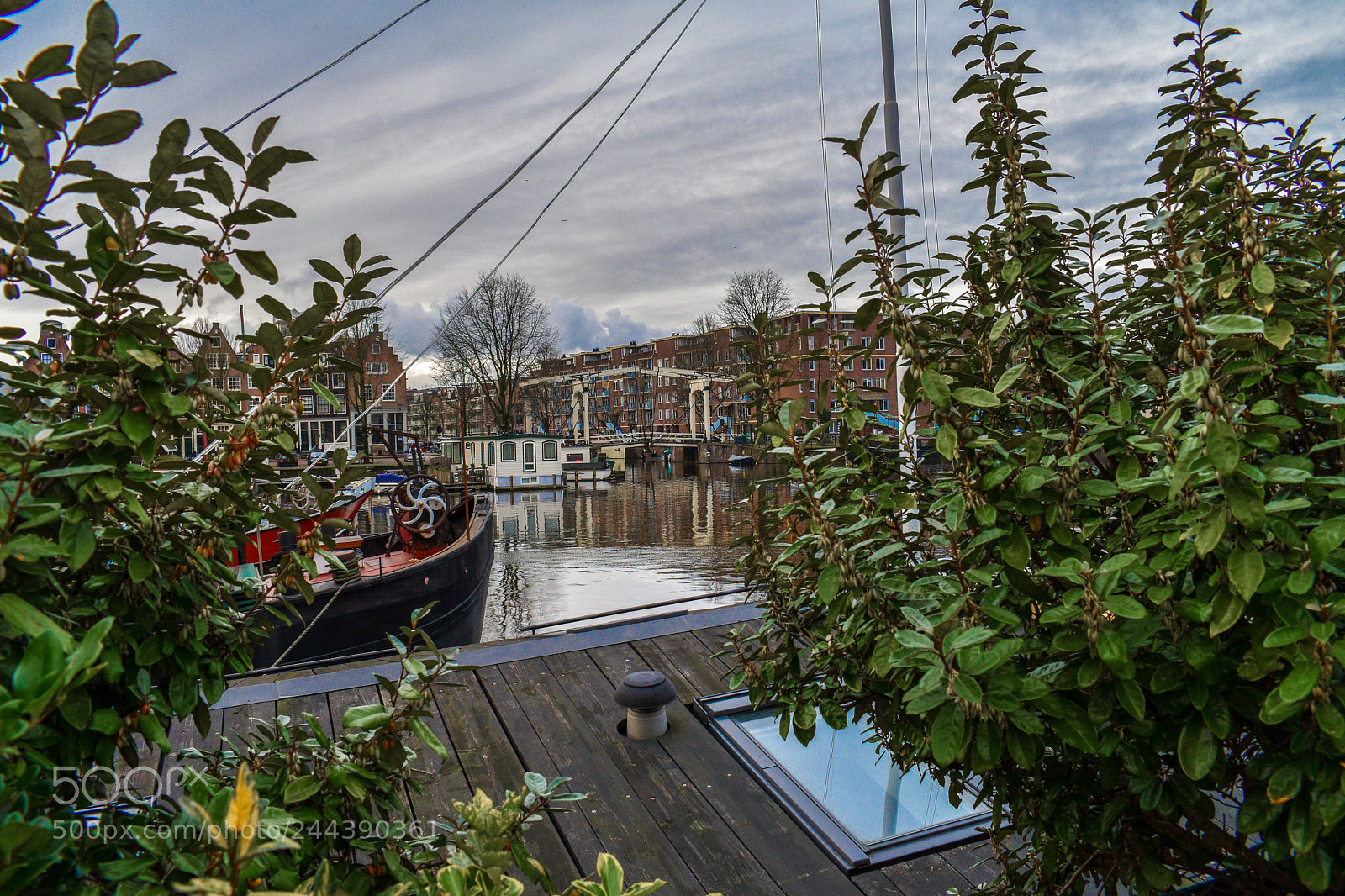 Nikon D5600 sample photo. Amsterdam marina photography