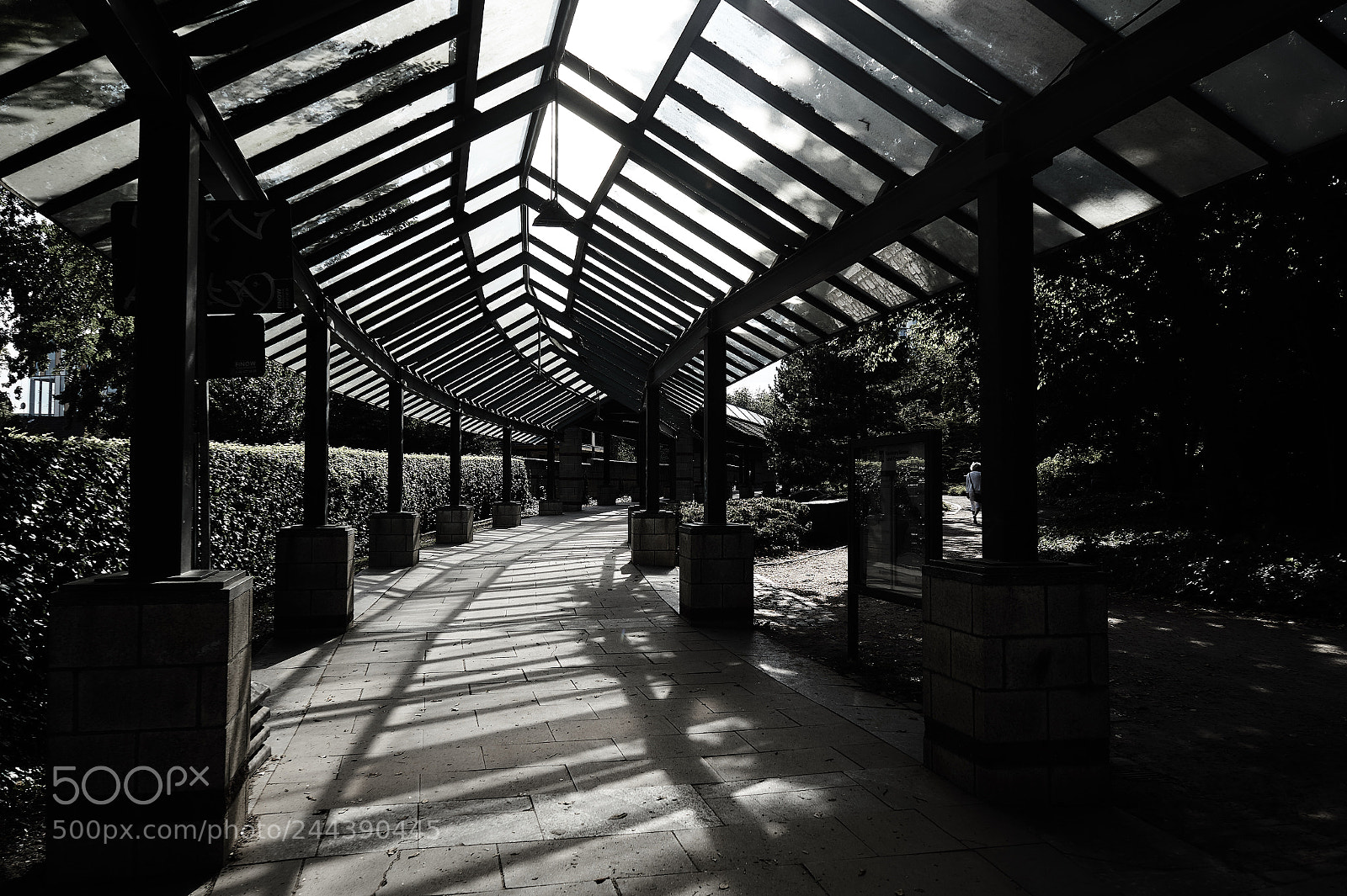 Sony Alpha a3000 sample photo. Footpath photography