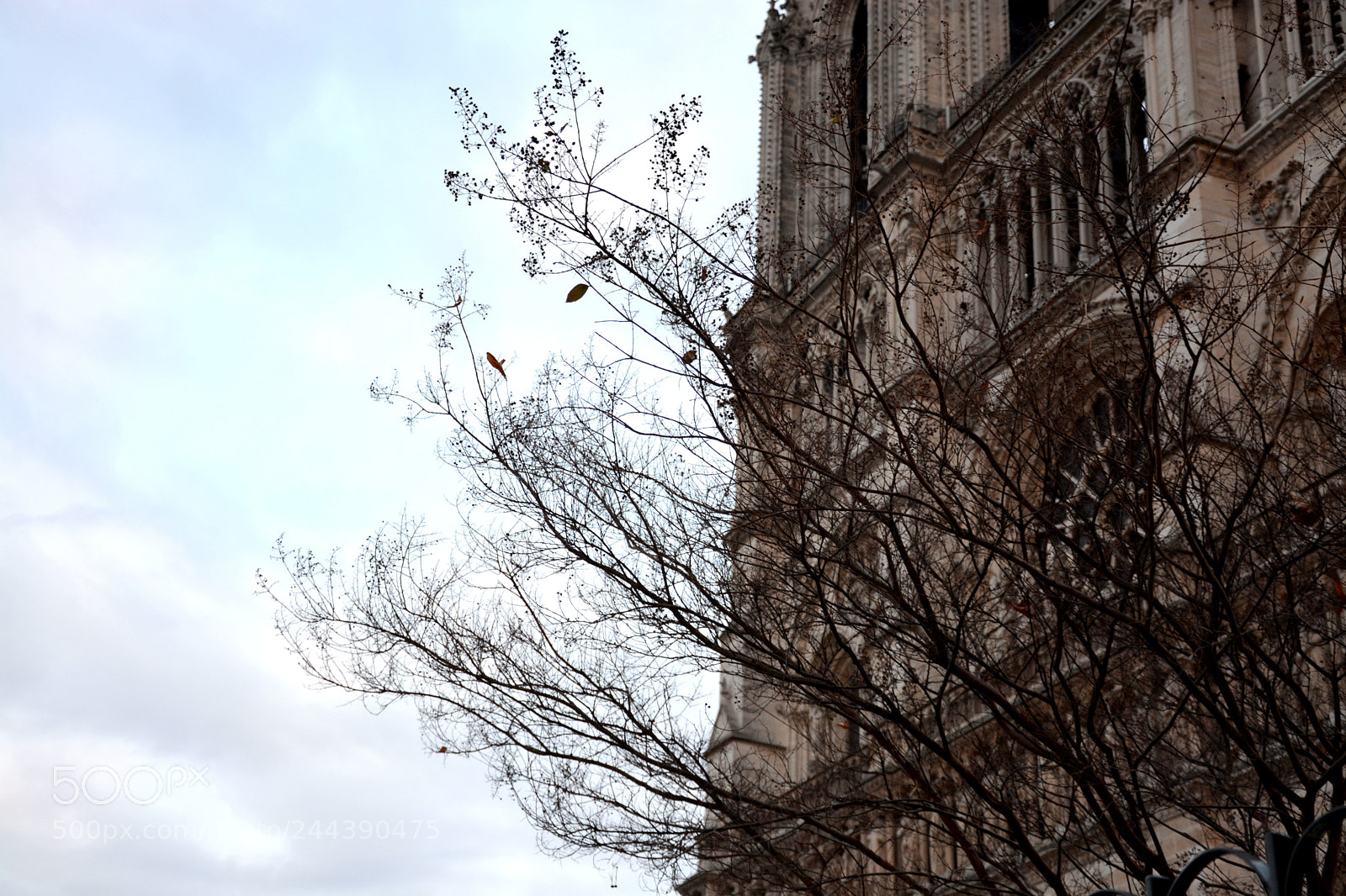 Nikon D7100 sample photo. Notre dame de paris photography