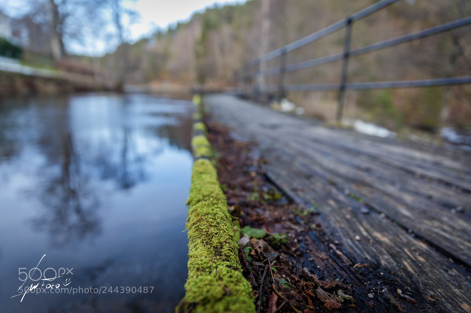 Canon EOS 5DS R sample photo. Green mile photography