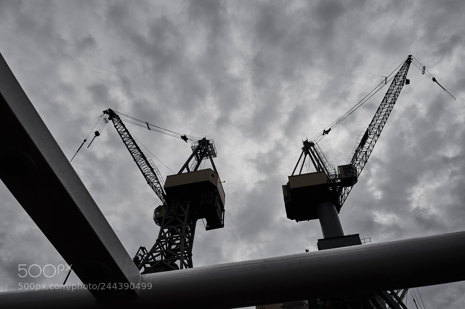 Sony Alpha a3000 sample photo. Cranes photography