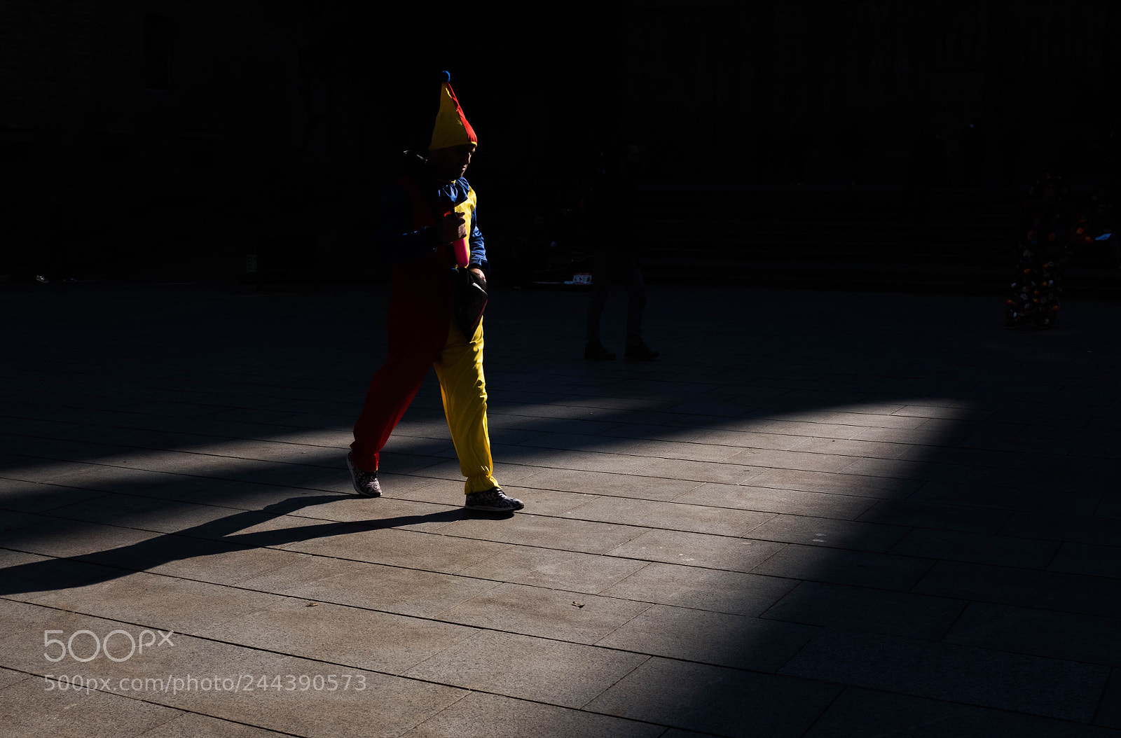 Fujifilm X100F sample photo. False arlequin photography
