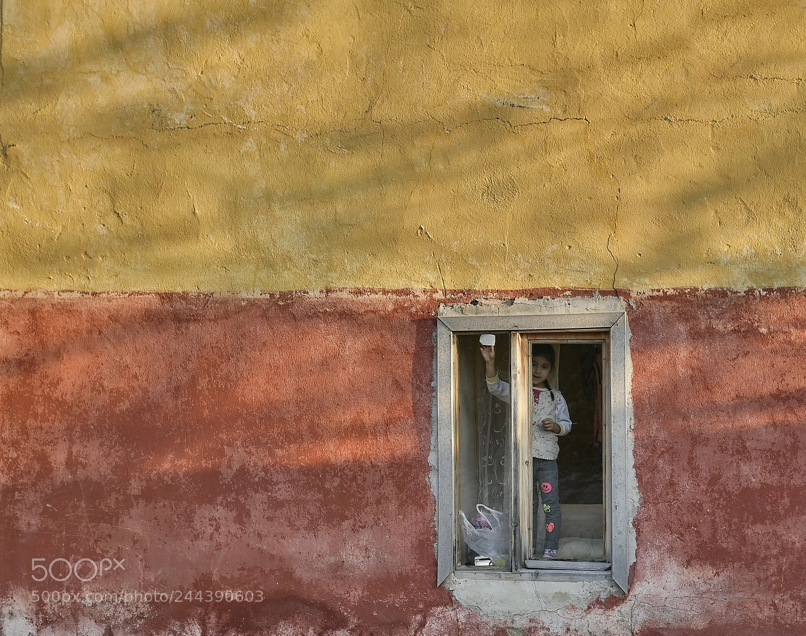 Nikon D810 sample photo. Untitled photography
