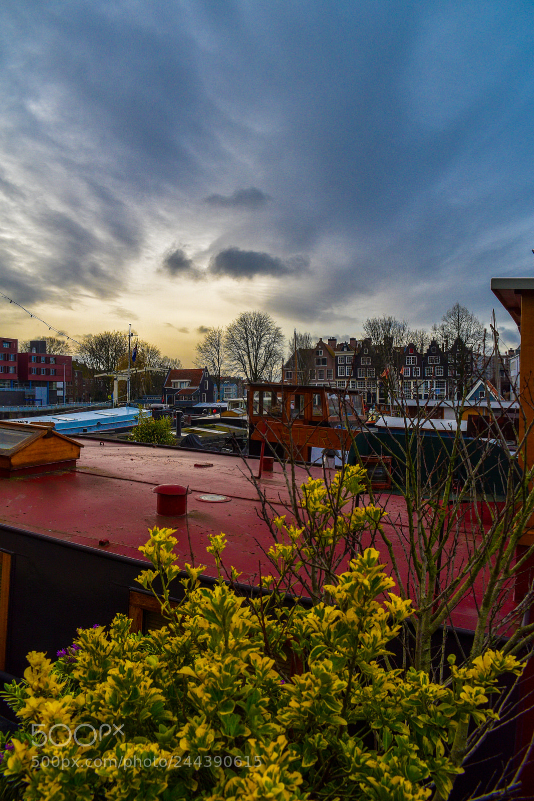 Nikon D5600 sample photo. Sunset in amsterdam photography