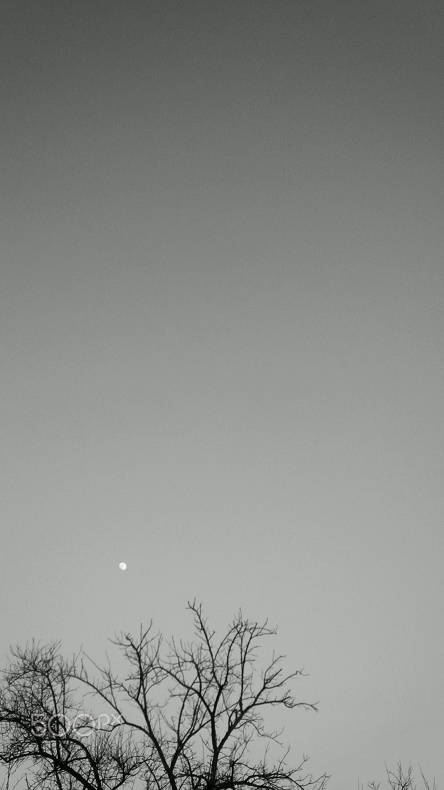 BlackBerry Z10 sample photo. La luna photography