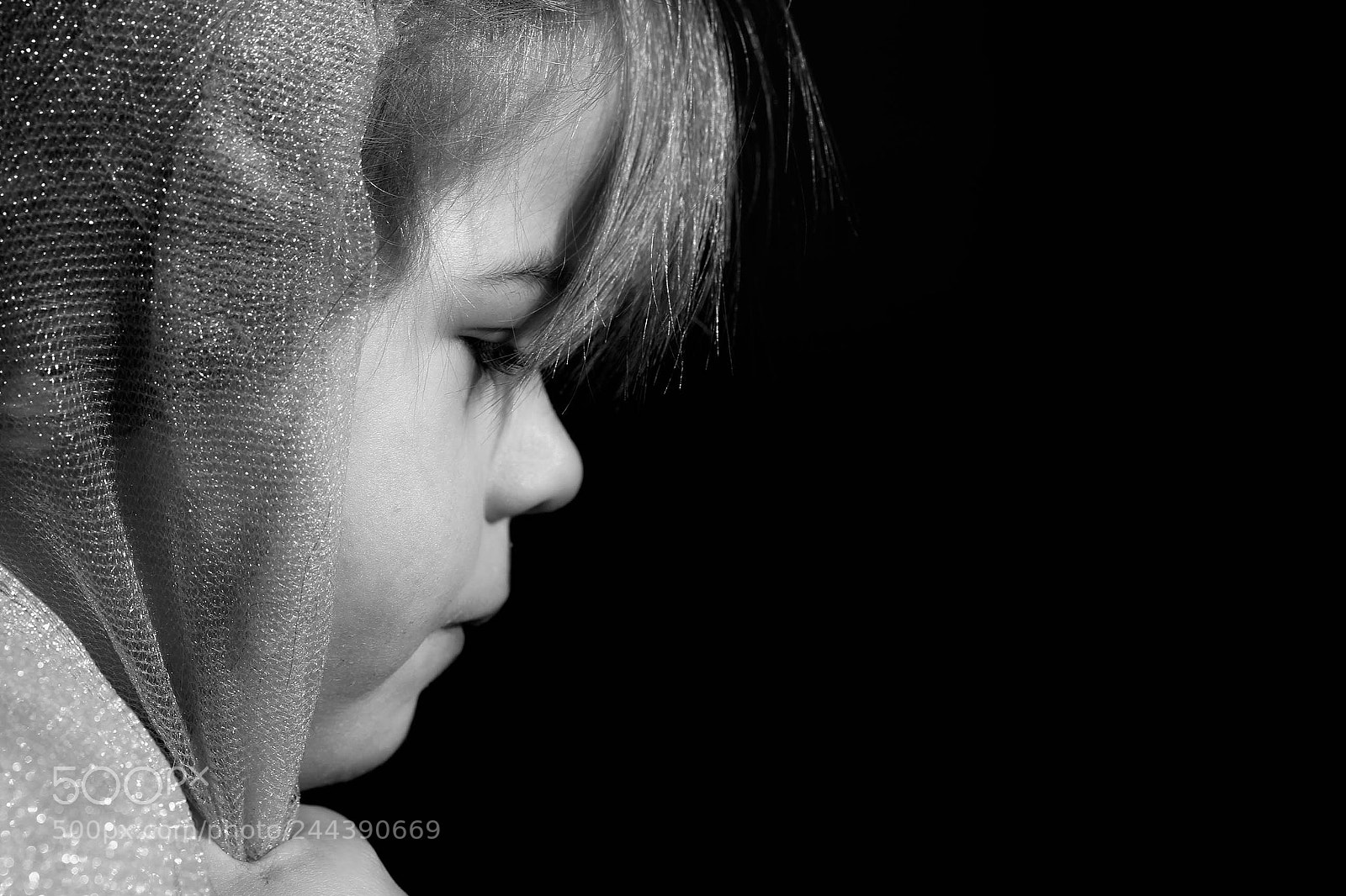 Canon EOS 60D sample photo. Img photography
