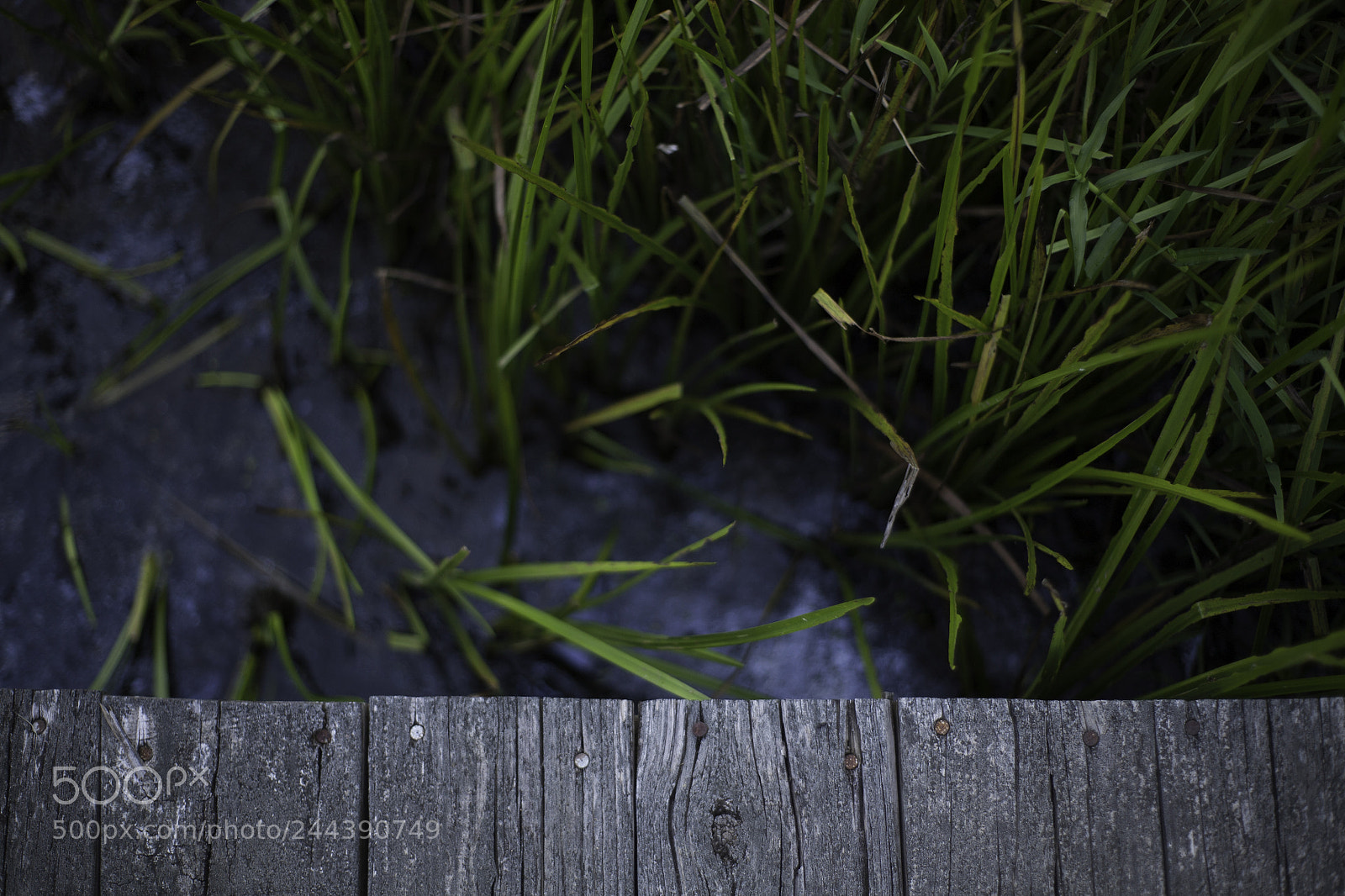 Canon EOS 5D sample photo. Dock photography