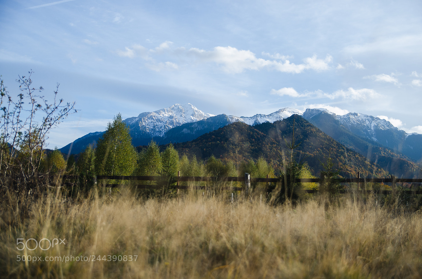 Nikon D5100 sample photo. Autumnal bucegi photography