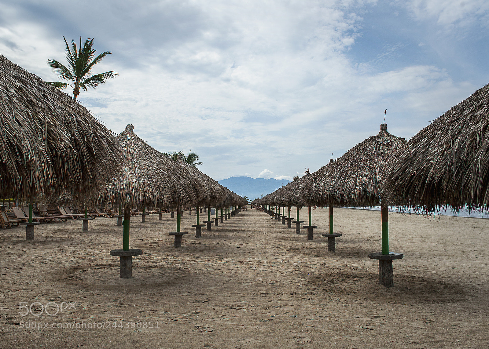 Nikon D700 sample photo. Puerto vallarta photography