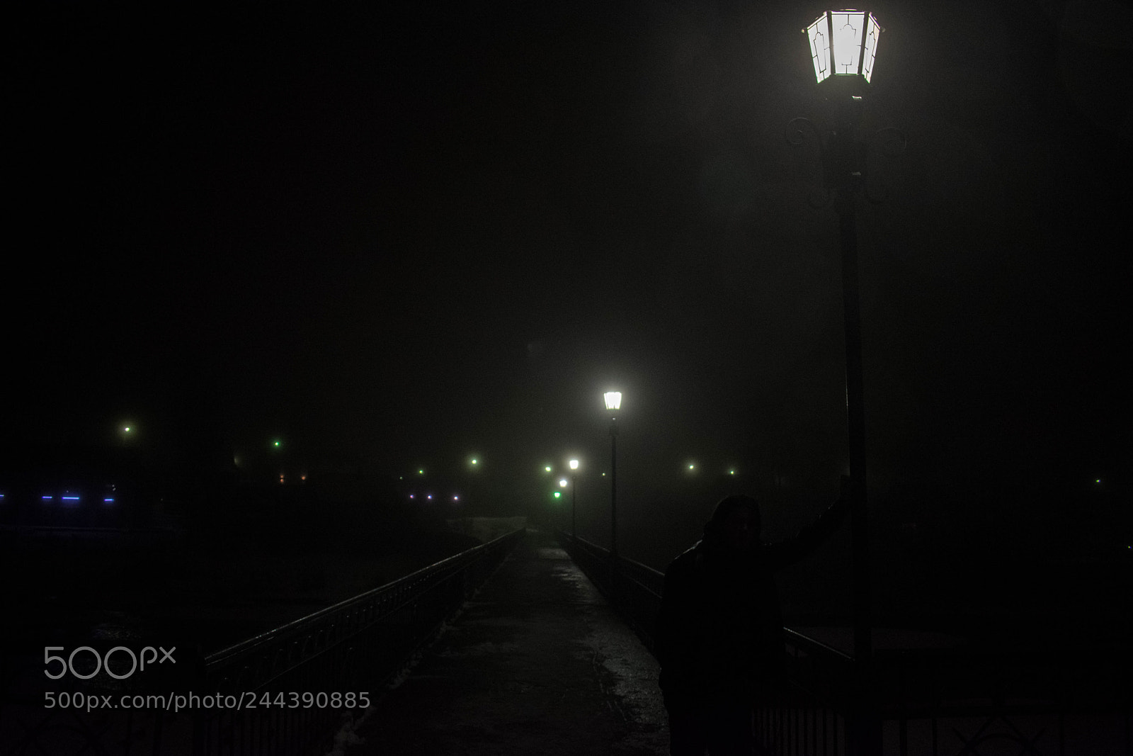 Nikon D3400 sample photo. Dark path photography