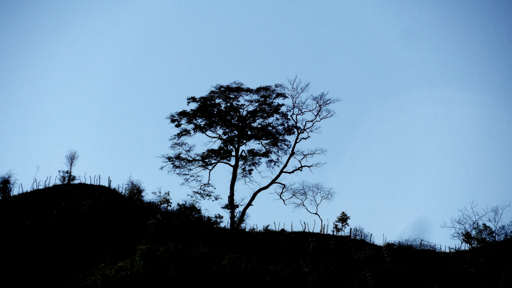 Samsung WB150 / WB150F / WB152 / WB152F / WB151 / WB151F / WB140 sample photo. A cerca photography